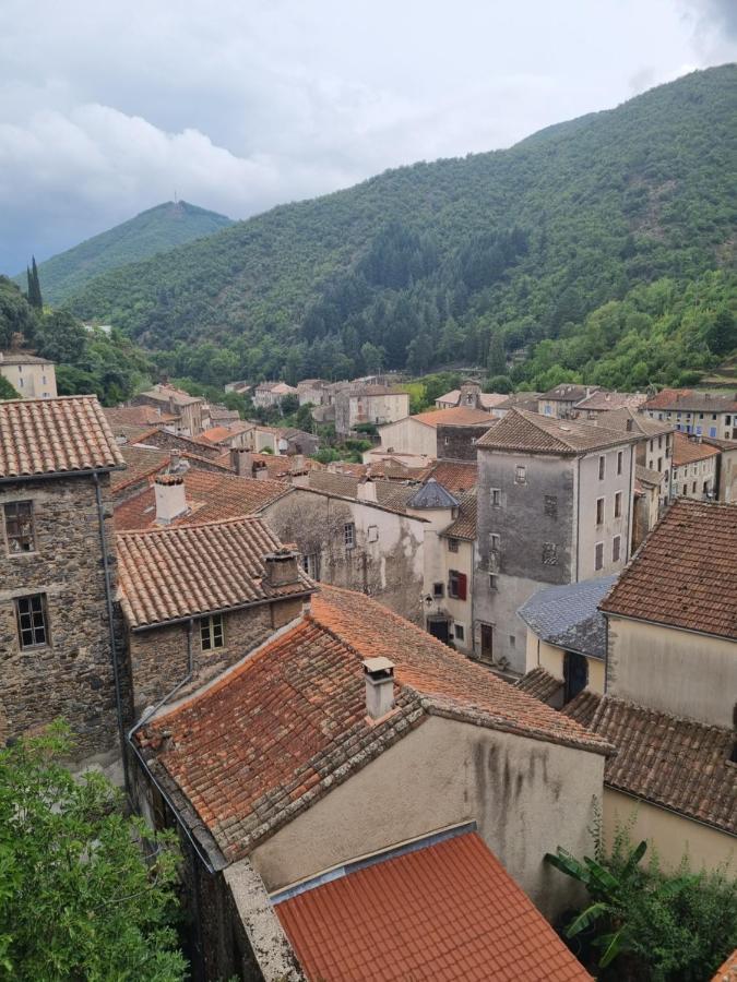 Gite D'Aigoual Valleraugue Esterno foto