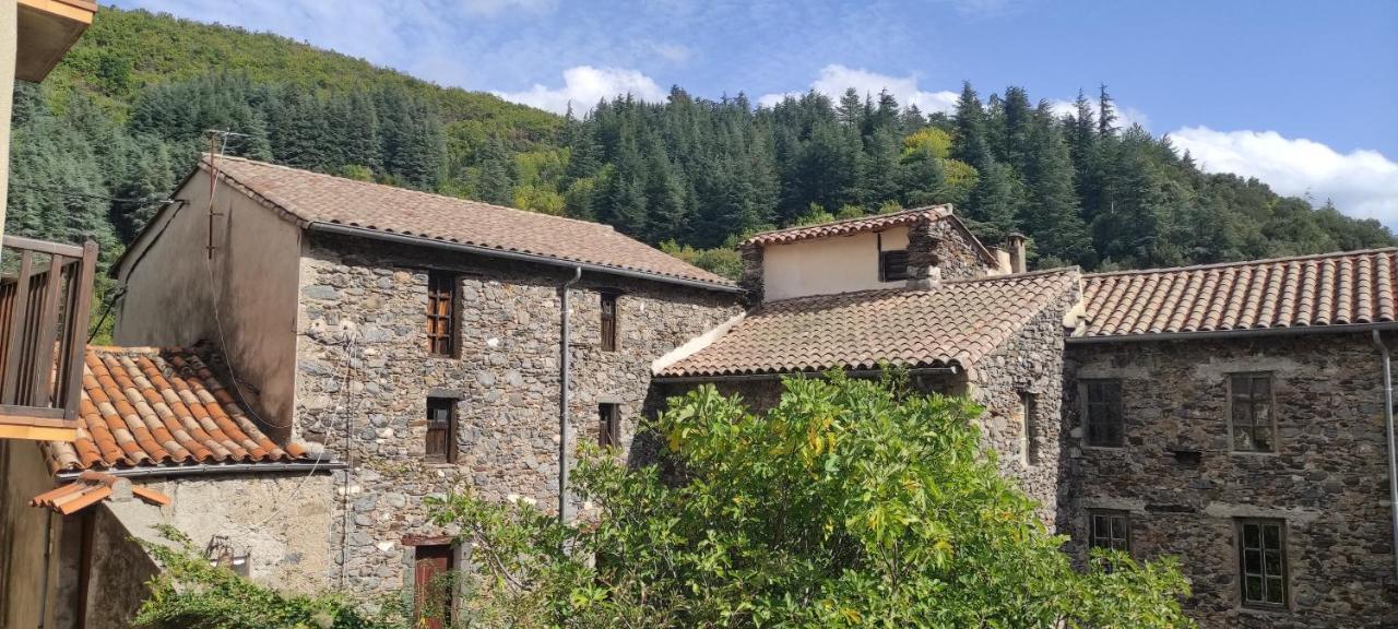 Gite D'Aigoual Valleraugue Esterno foto